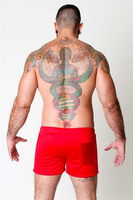 BLINDSIDE SHORT POLYESTER
