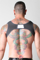 ALPHA HARNESS NEOPRENE/POLYESTER/SPANDEX, SIZES: S, M